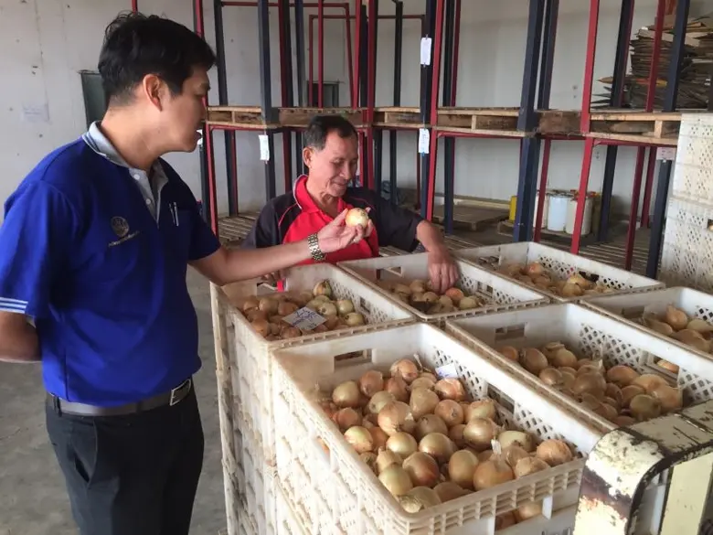 สหกรณ์ผู้ปลูกหอมหัวใหญ่ฝาง จำกัด เปิดจุดรวบรวมกระจายผลผลิต พร้อมเชื่อมโยงตลาดกับเอกชน สมาชิกพอใจมีรายได้มั่นคง