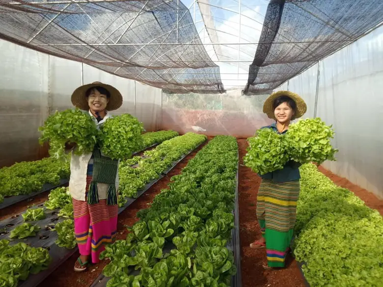 บริษัท สยามแม็คโคร จำกัด (มหาชน) เจาะพื้น...