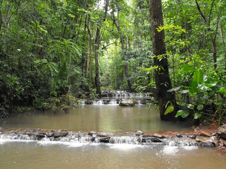 รัฐ-เอกชน-ชุมชน ร่วมน้อมนำศาสตร์พระราชาสู่การจัดการน้ำอย่างยั่งยืน ใช้ 'ความรู้คู่คุณธรรม’ พาไทยรอดภัยแล้ง