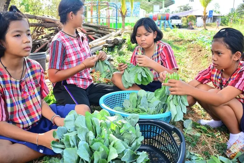 น้องๆรร.บ้านแสนสุข จ.สระแก้ว สุขภาพดีด้วยไข่ไก่ “โครงการเลี้ยงไก่ไข่เพื่ออาหารกลางวันนักเรียน”