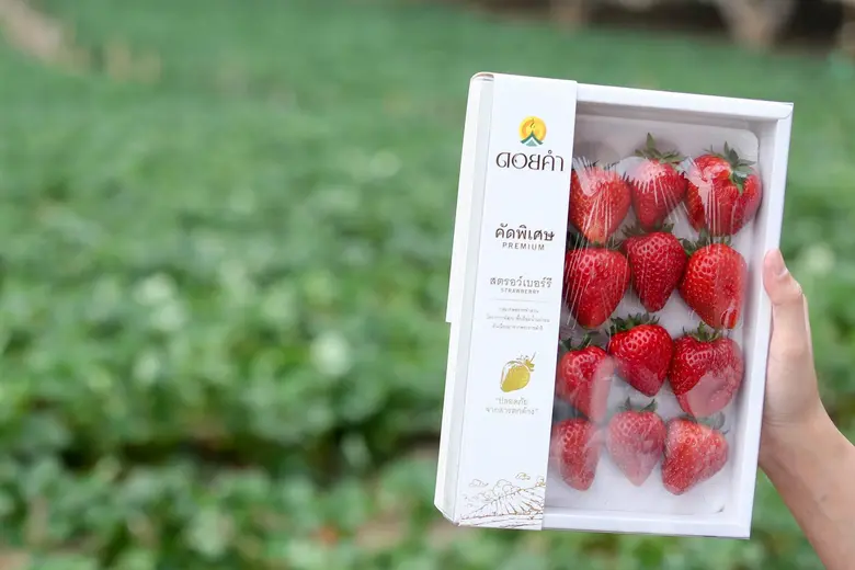 เพื่อสร้างการรับรู้ถึงการพัฒนาสร้างสรรค์ผ...