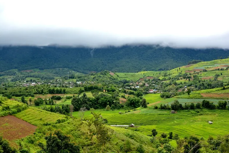 มูลนิธิโครงการหลวง และ สถาบันวิจัยและพัฒน...
