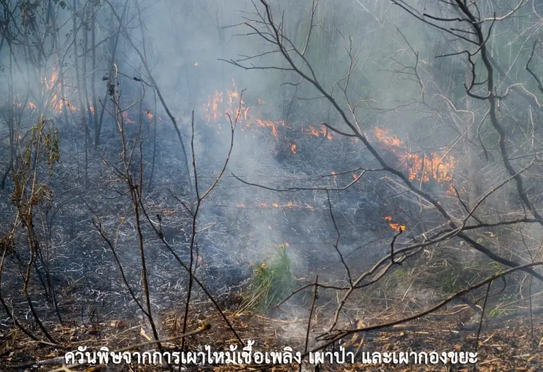 ชุมชนคาร์บอนต่ำ...กุญแจสำคัญ “ลดโลกร้อน”