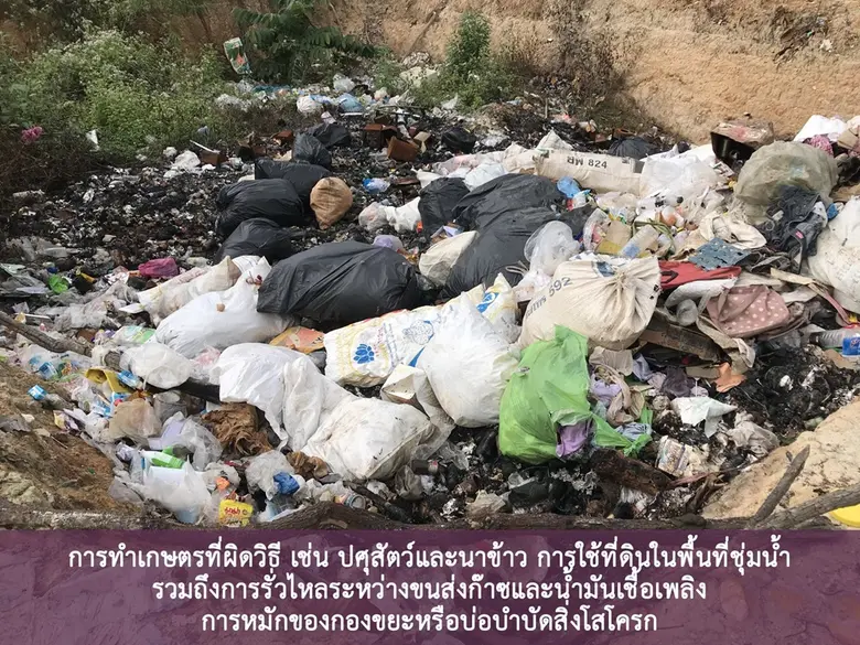 ชุมชนคาร์บอนต่ำ...กุญแจสำคัญ “ลดโลกร้อน”