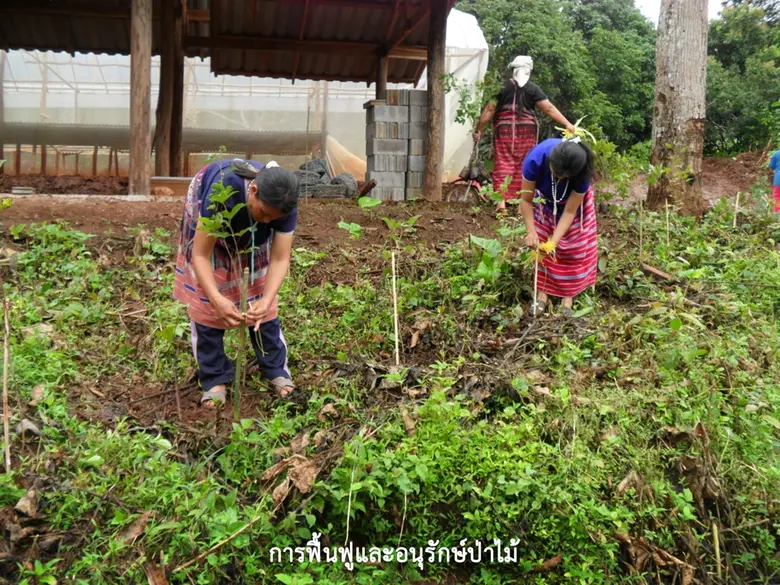 ชุมชนคาร์บอนต่ำ...กุญแจสำคัญ “ลดโลกร้อน”