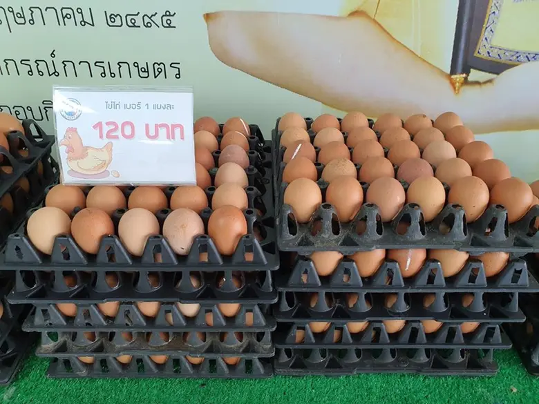 ขบวนการสหกรณ์พร้อมเป็นกองหนุนส่งเสบียงอาหารถึงบ้าน ชุมนุมสหกรณ์การเกษตรฯจับมือสหกรณ์แท็กซี่กระจายข้าวสารสินค้าอุปโภคบริโภคให้คนกรุงเทพฯ