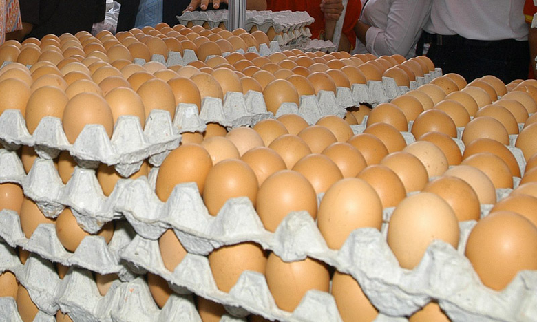 สศก. เร่งประสานทุกหน่วย รับมือวิกฤตโควิด-19 สร้างความมั่นใจ สินค้าเกษตรไม่ขาดแคลน แรงงานคืนถิ่นมีอาชีพเกษตรรองรับแน่นอน