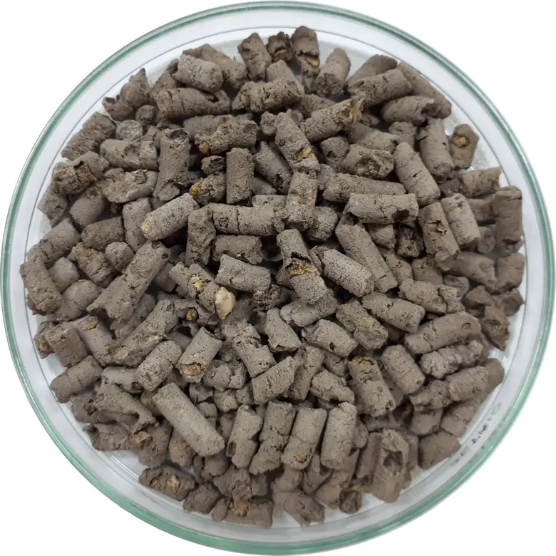 ปิ๊งไอเดียพัฒนาชีวภัณฑ์เมตาไรเซียมปราบด้วงแรด ปั๊มรูปแบบใหม่อัดเม็ดพร้อมใช้