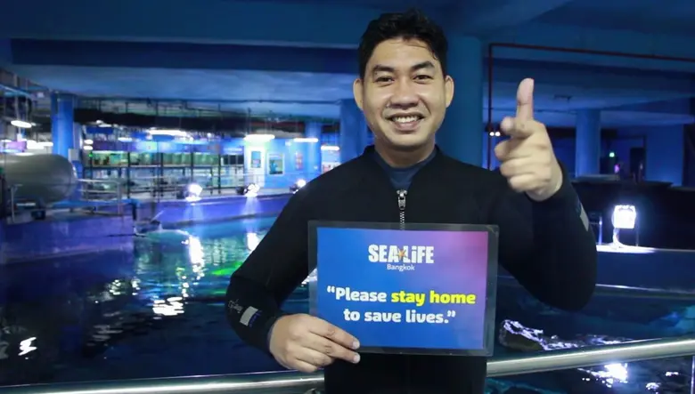 ซีไลฟ์ แบงคอก ปล่อยคลิปสนับสนุนให้คนอยู่บ...