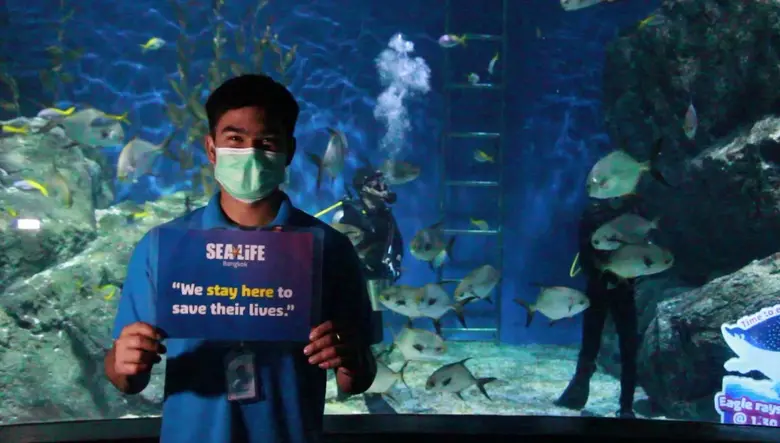 ซีไลฟ์ แบงคอก ปล่อยคลิปสนับสนุนให้คนอยู่บ้าน พร้อมโชว์เบื้องหลังการทำงานสุดน่ารักของเจ้าหน้าที่หลังปิดอควาเรียมชั่วคราว