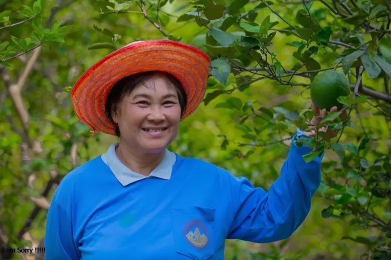 บริษัท เจริญโภคภัณฑ์อาหาร จำกัด (มหาชน) ห...