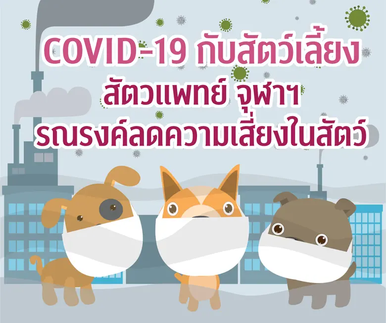 จากข่าวการพบเชื้อไวรัสที่ก่อโรค COVID-19 ...