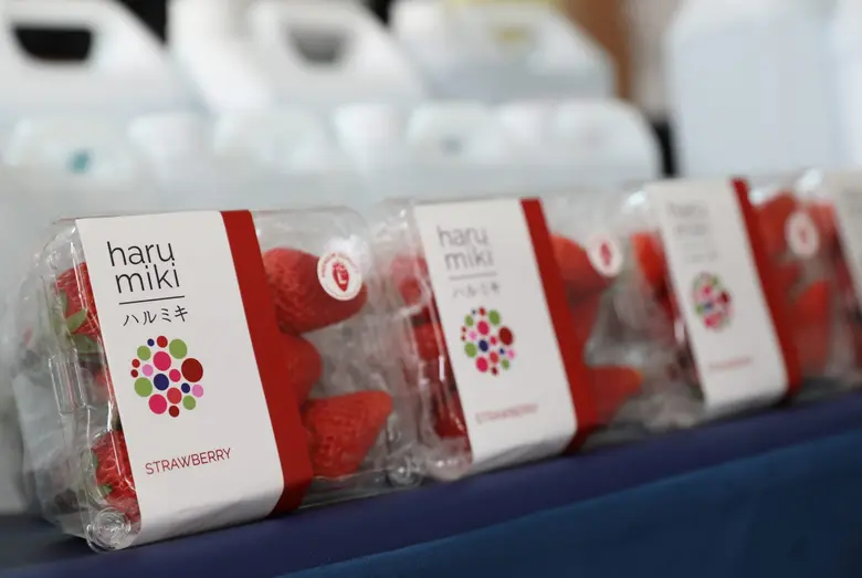 กลุ่ม ปตท. สานพลังสู้โควิด-19 สนับสนุนแท็บเล็ต แอลกอฮอล์ พร้อมมอบสตรอว์เบอร์รีเป็นกำลังใจ แก่ รพ.รามาธิบดี