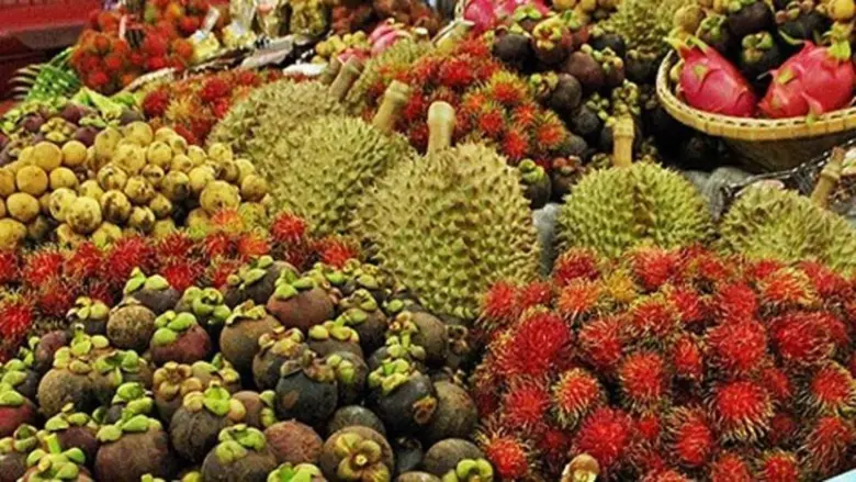 เกษตรฯ มั่นใจ สินค้าไม่ขาดแคลน สั่งการ สศก. ประสานทุกหน่วย สำรวจสินค้าแบบรายจังหวัด ลงลึกระดับอำเภอ และตำบล สร้างความเชื่อมั่นแก่ประชาชน