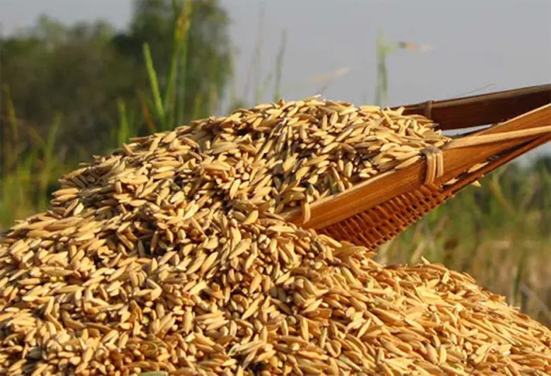 เกษตรฯ มั่นใจ สินค้าไม่ขาดแคลน สั่งการ สศก. ประสานทุกหน่วย สำรวจสินค้าแบบรายจังหวัด ลงลึกระดับอำเภอ และตำบล สร้างความเชื่อมั่นแก่ประชาชน