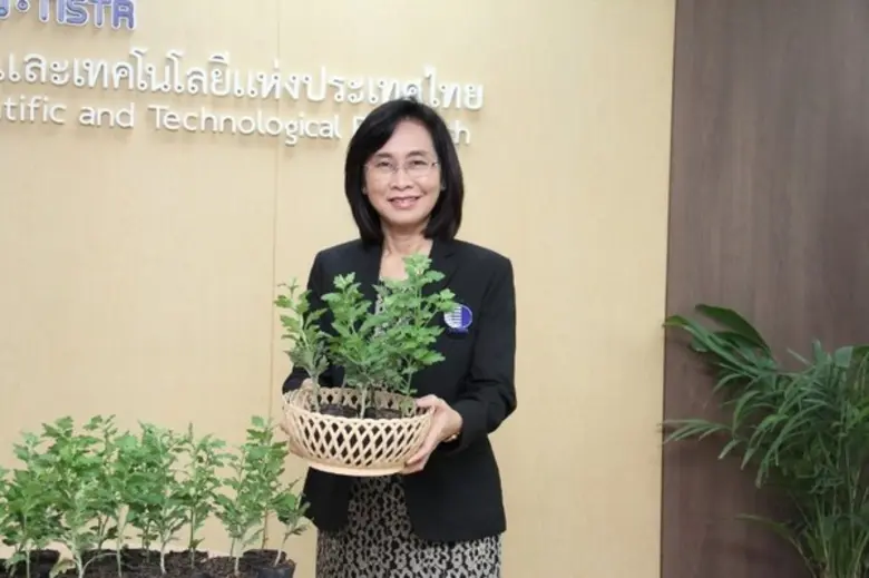 วว.ส่งมอบพันธุ์ไม้เบญจมาศสายพันธุ์ใหม่ สนับสนุน “โครงการร้อยใจรักษ์” สร้างอาชีพ สร้างรายได้ให้ราษฎรในพื้นที่สูงภาคเหนือ