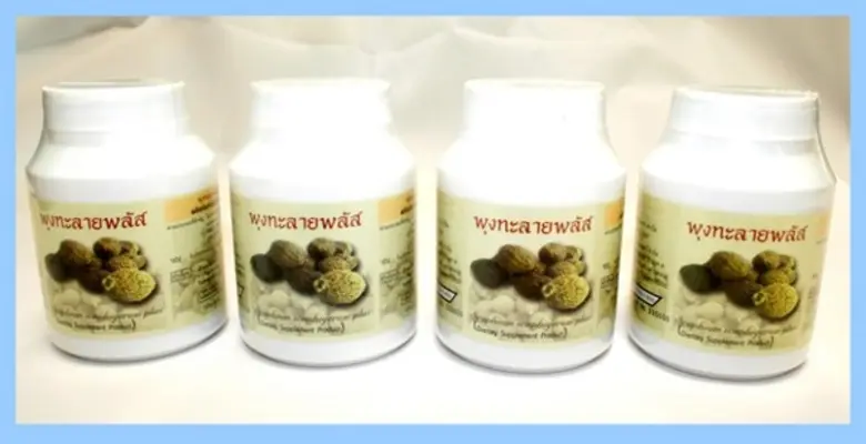 กระทรวงการอุดมศึกษา วิทยาศาสตร์ วิจัยและน...