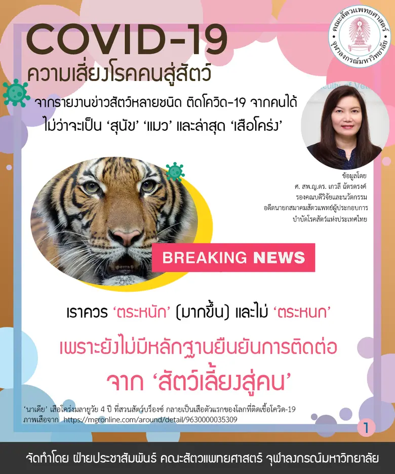 จากรายงานข่าวที่มีการพบเชื้อโควิด-19 ในสั...