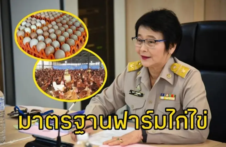 มกอช. เดินเครื่องมาตรฐานฟาร์มไก่ไข่ คุมเข...