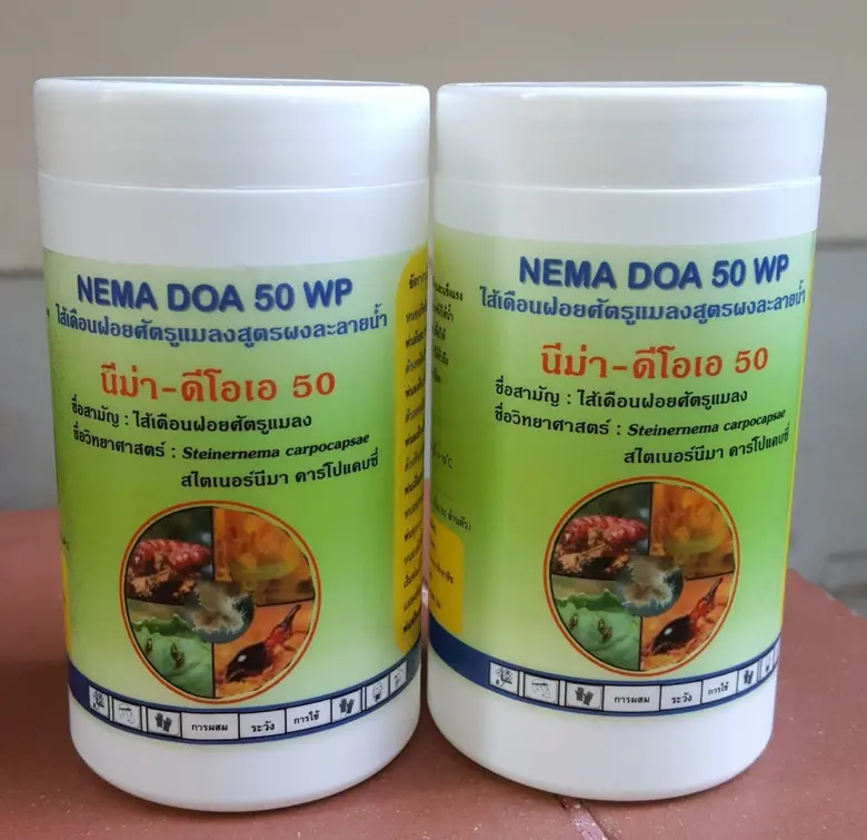 เปิดตัวชีวภัณฑ์ไส้เดือนฝอยกำจัดแมลงสูตรใหม่ชนิดผง