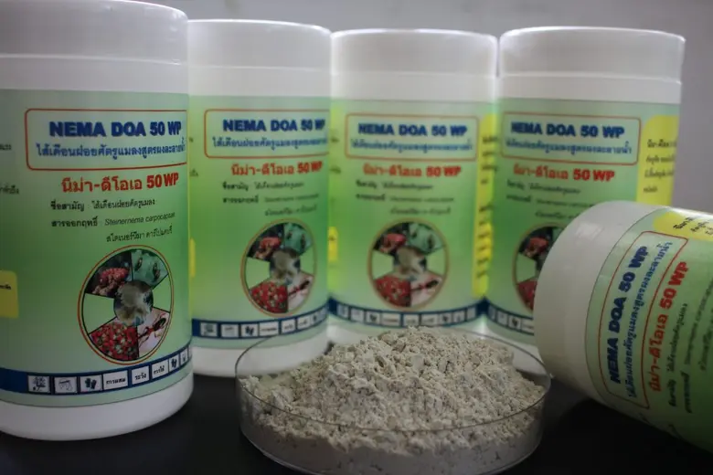 เปิดตัวชีวภัณฑ์ไส้เดือนฝอยกำจัดแมลงสูตรใหม่ชนิดผง