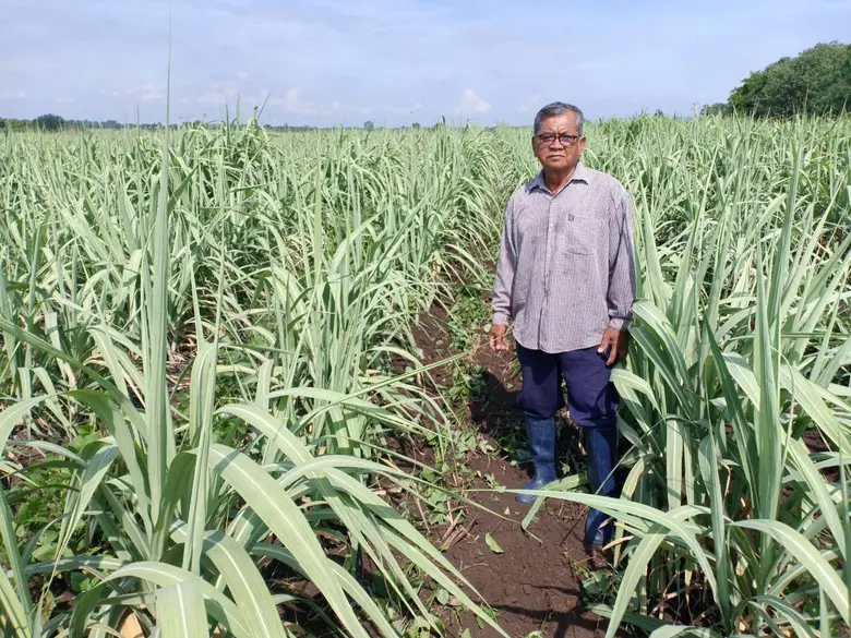 นางสาวทัศนีย์ เมืองแก้ว รองเลขาธิการสำนัก...