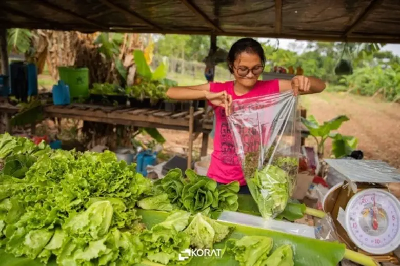 มหาวิทยาลัยราชภัฏนครราชสีมา โดย โครงการออ...