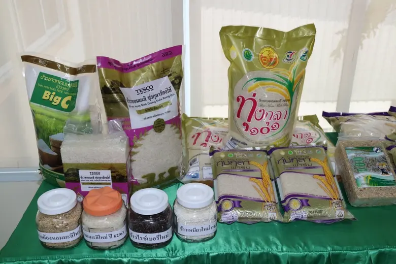 "มนัญญาลงพื้นที่ร้อยเอ็ด ชมศักยภาพสหกรณ์การเกษตรเกษตรวิสัย จำกัด "