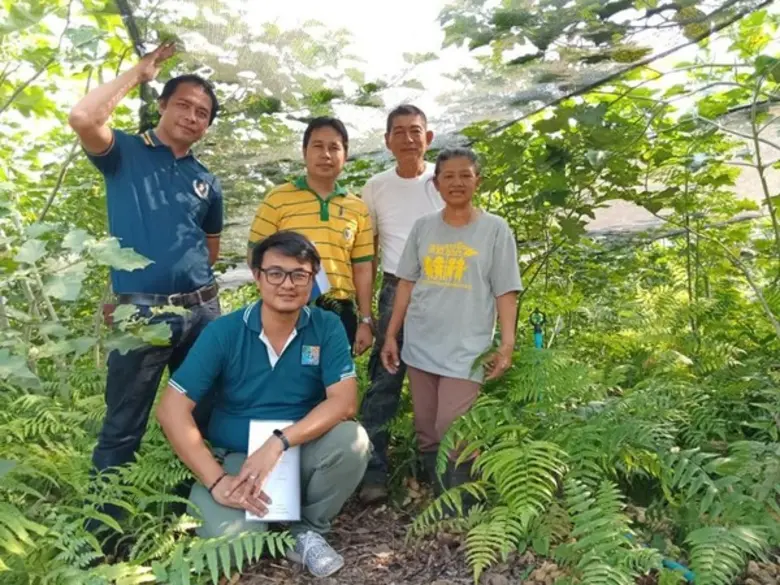 สถาบันวิจัยวิทยาศาสตร์และเทคโนโลยีแห่งประ...