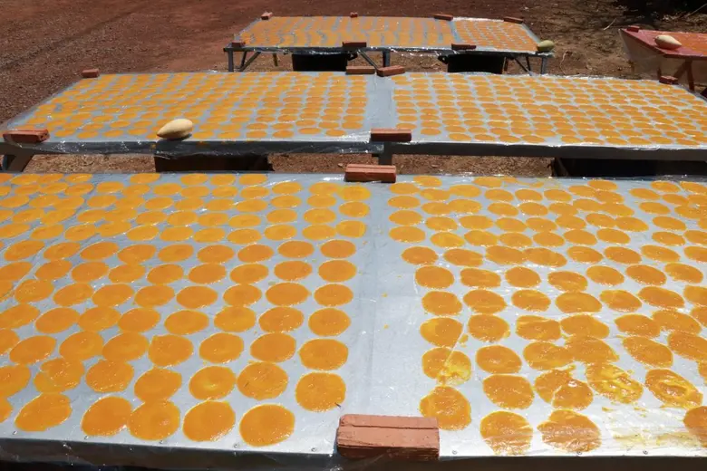 สหกรณ์เชื่อมโยงเครือข่ายกระจายผลผลิตมะม่วงช่วยเกษตรกร กว่า 34 ตัน