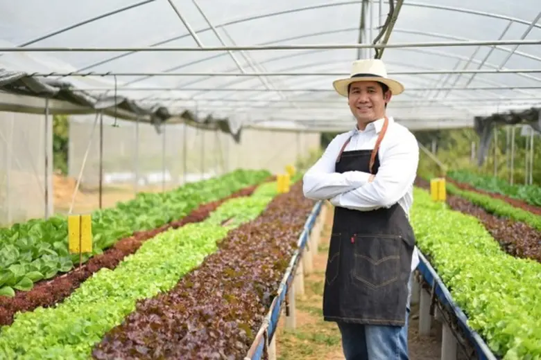 สลัดแฟคทอรี่ ร้านสลัดเพื่อสุขภาพ พร้อมเสิ...