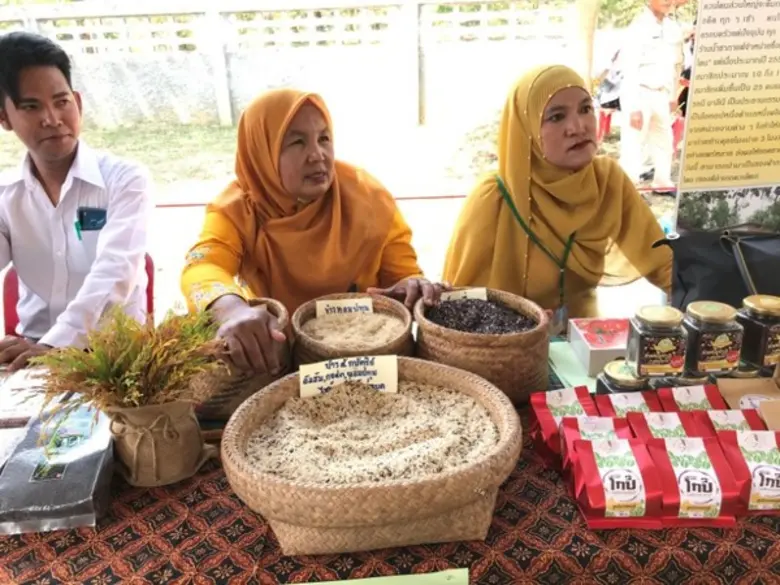 ด้วยพระปรีชาสามารถ ต.ควนโดน อ.ควนโดน จ.สตูล วันนี้ราษฎรอยู่ดีมีสุข