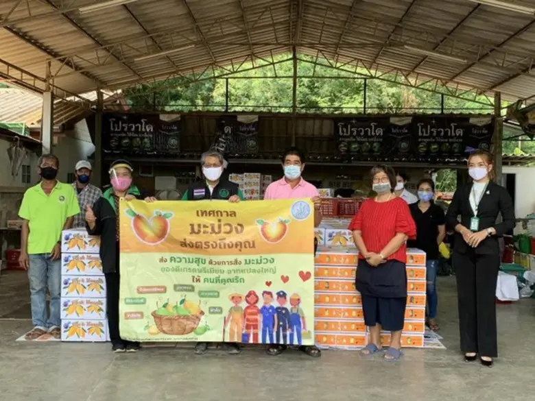 ส่งมะม่วงแทนความห่วงใยจากใจกรมส่งเสริมการเกษตรสู่ 6 จว.ชายแดนใต้ให้กำลังใจบุคลากรทางการแพทย์สู้ภัย COVID-19