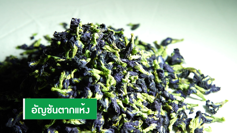 เกษตรฯ ลุยต่อเปิดตลาดดอกอัญชันเข้าอินโดนีเซีย