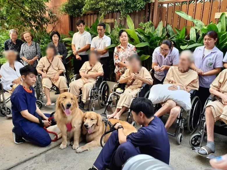 การนำสัตว์มาใช้ร่วมในการบำบัดเด็กพิเศษ หร...