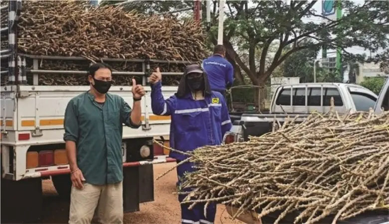 เมื่อเร็วๆนี้ บริษัท เนชั่นแนล เพาเวอร์ ซ...