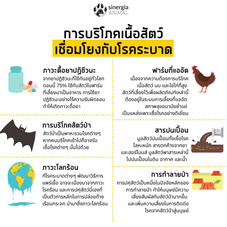 องค์กรพัฒนาเอกชนประกาศเตือน แบคทีเรียต่อต้านยาปฏิชีวนะ ภัยร้ายจากอุตสากรรมปศุสัตว์ อาจทำให้คนเสียชีวิตมากกว่าเชื้อไวรัสโคโรน่า