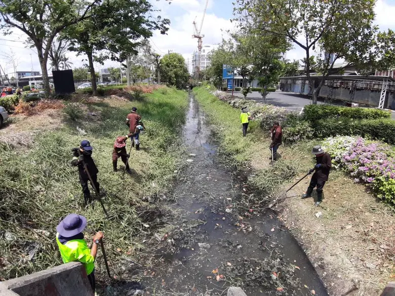 นายณรงค์ เรืองศรี ผู้อำนวยการสำนักการระบา...