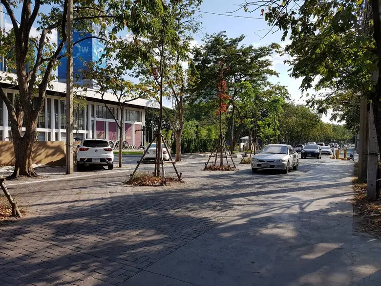 กทม.เตรียมพร้อมระบบระบายน้ำ ดูแลต้นไม้ ป้ายโฆษณาให้มั่นคงแข็งแรงรองรับพายุฤดูร้อน