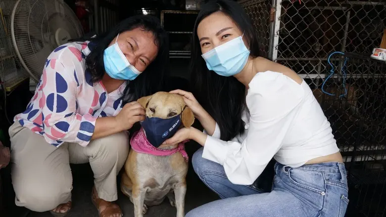 ภาพข่าว: ชาวซูบารุรวมพลัง แบ่งปันน้องหมาแมว