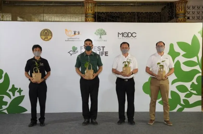 The Forestias by MQDC Launches THB25m “Forest for Life” to Help 1,000 Families “Forest for Life” will pay families THB15,000 each to grow 1.2 million