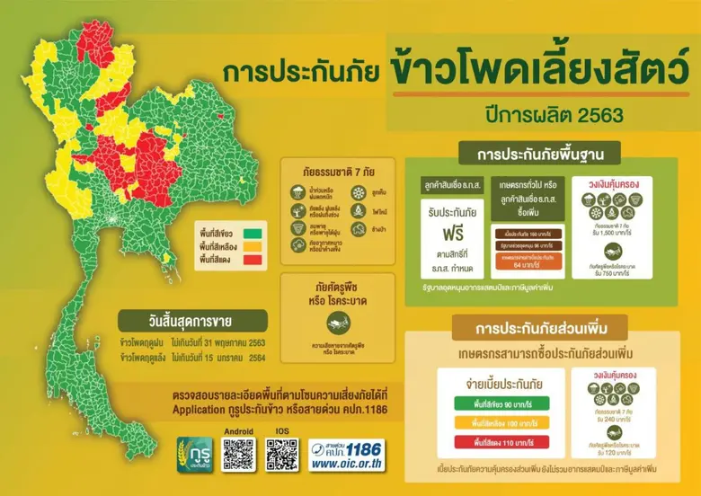 เกษตรกร เฮ !! ครม. อนุมัติโครงการประกันภัยข้าวโพดเลี้ยงสัตว์ วงเงิน 313.98 ล้านบาท สู้ภัยธรรมชาติ