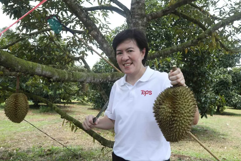 ท็อปส์ ขับเคลื่อนเศรษฐกิจเปิดตัวโครงการ “รับซื้อสินค้าตรงจากเกษตรกรและชุมชน บริหารการขนส่งผ่านเครือข่ายรถส่งสินค้า (Backhaul)”