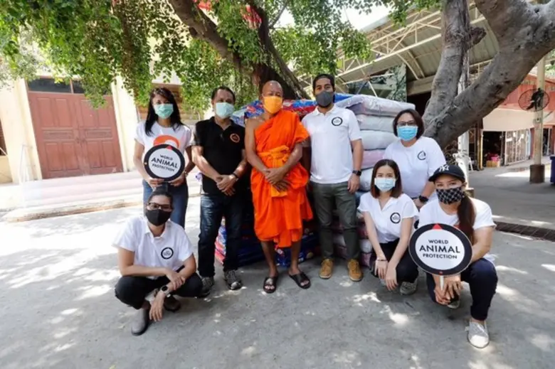 องค์กรพิทักษ์สัตว์แห่งโลก เร่งมอบอาหารสัตว์ช่วยสุนัขจรจัด