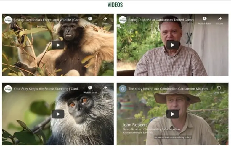 มูลนิธิโกลเด้น ไทรแองเกิ้ล เอเชียน เอเลเฟ...