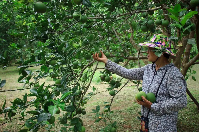 นายพลเชษฐ์ ตราโช รองเลขาธิการสำนักงานเศรษ...