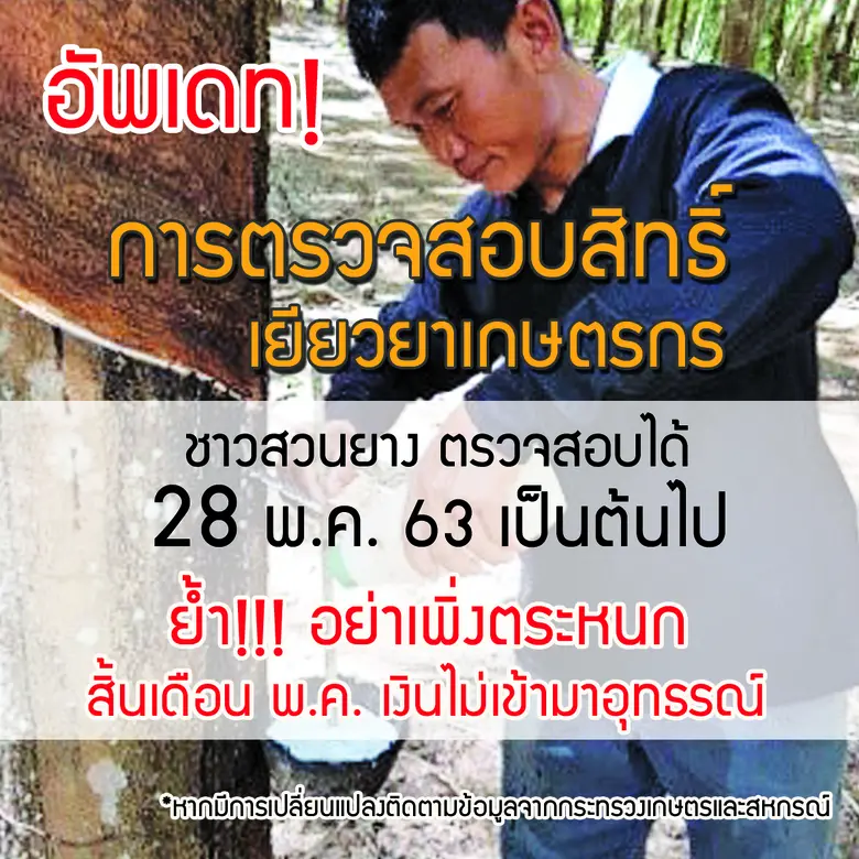 นายณกรณ์ ตรรกวิรพัท รองผู้ว่าการการยางแห่...