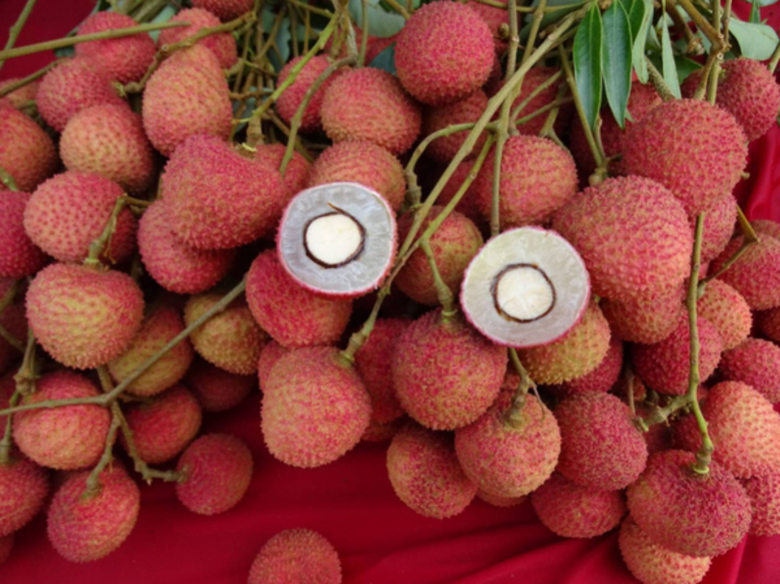 หนุนกลุ่มเกษตรกรหัวก้าวหน้าร่วมจำหน่ายสินค้าเกษตรบนแพลตฟอร์มออนไลน์