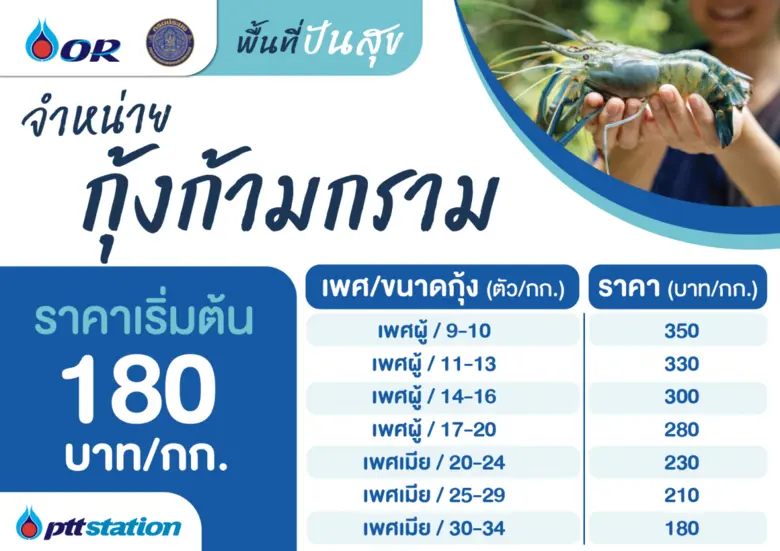 ขอเชิญชวนร่วมอุดหนุนเกษตรกร เลือกซื้อกุ้ง...