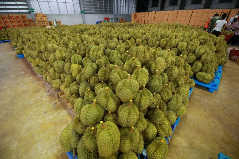 ผลไม้ไทยโลดแล่นในเทศกาลช้อปปิ้งกลางปีของอาลีบาบา